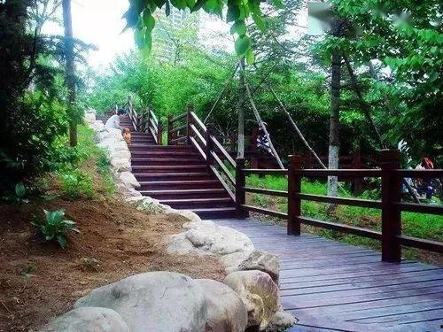 长春美人松街最新爆料,揭秘老街新颜，漫步时光隧道